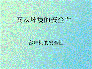 交易环境的安全性.ppt