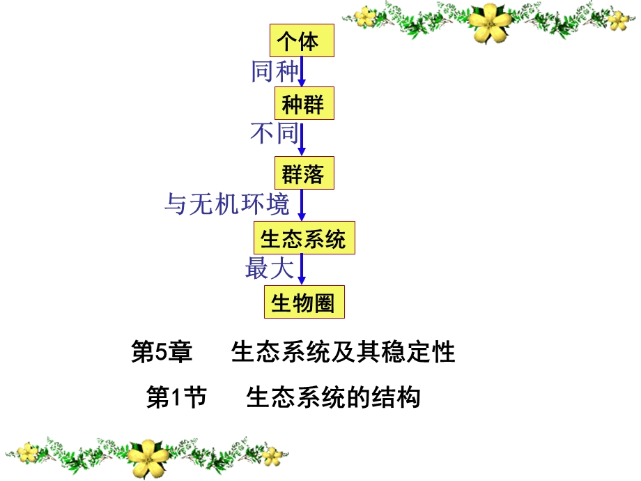 人教版教学课件第一节生态系统的结构课件.ppt_第2页