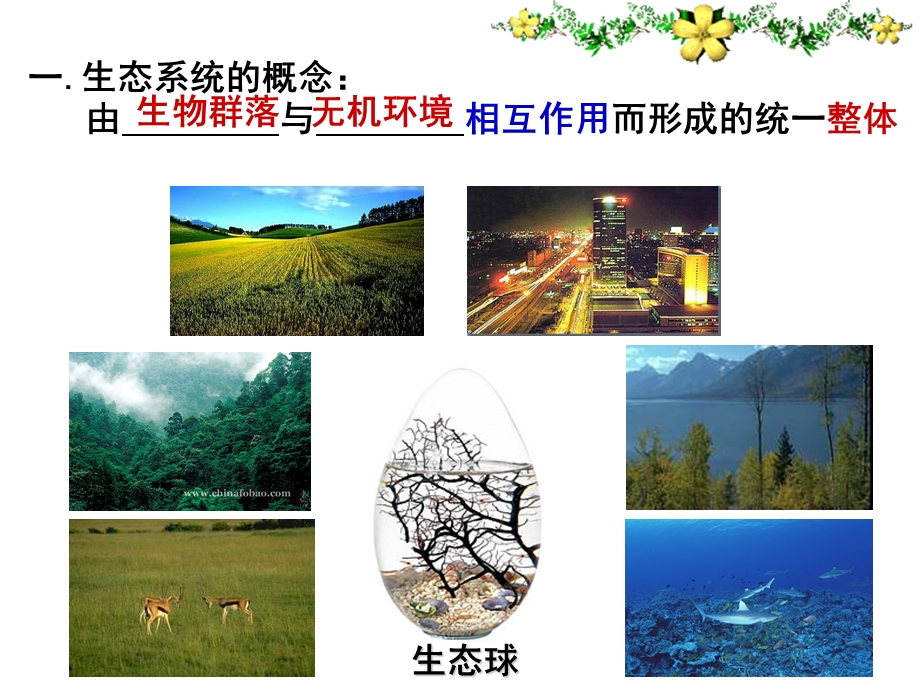 人教版教学课件第一节生态系统的结构课件.ppt_第3页