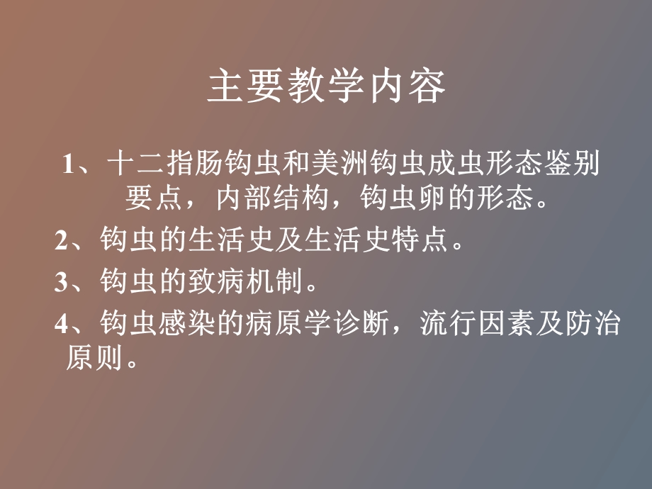 人体寄生虫钩虫.ppt_第2页