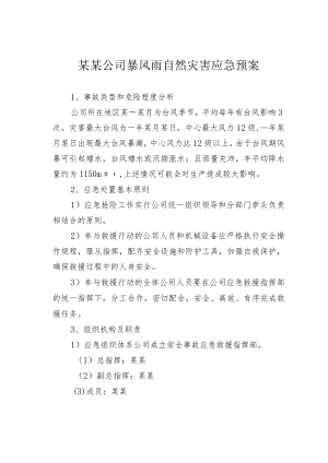 某某公司暴风雨自然灾害应急预案.docx