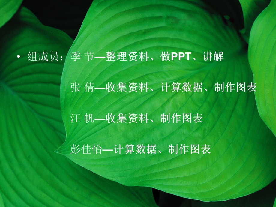 云南白药 财务管理分析.ppt_第2页