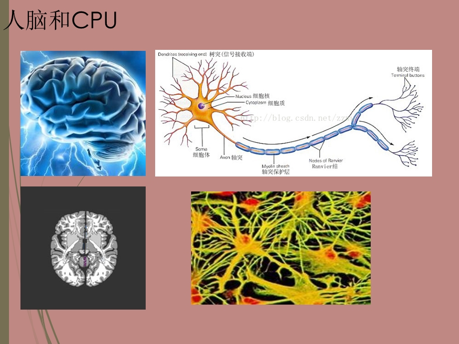 人工神经网络-SVM-深度学习简介.ppt_第3页