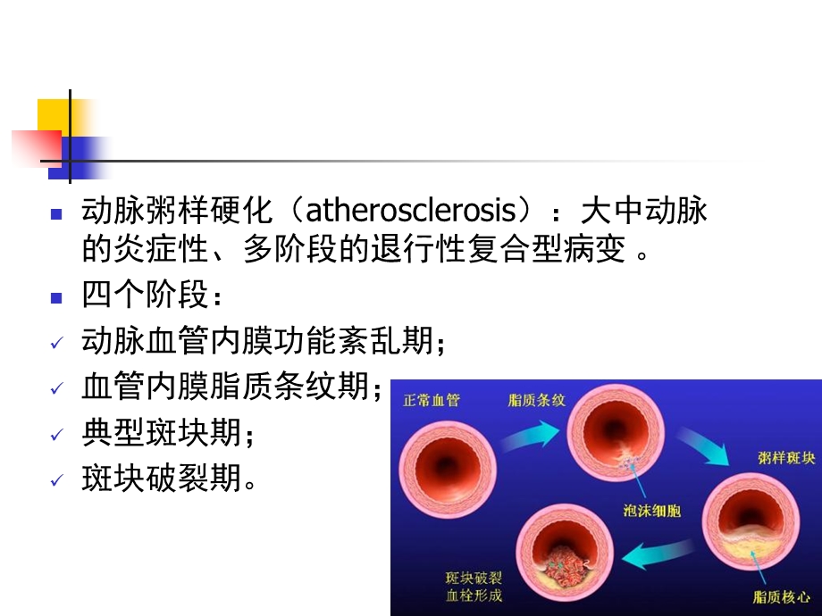 人卫第七版营养与动脉粥样硬化性心脏病.ppt_第3页