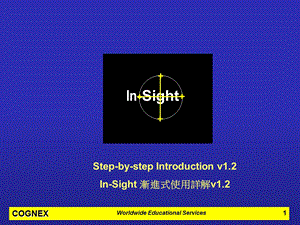 中文-In-Sight-使用详解-(全).ppt