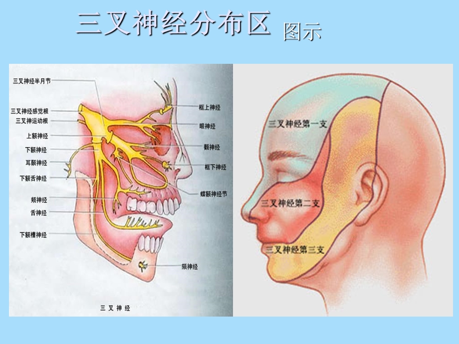 京城专治脸三叉神经痛的方法.ppt_第3页