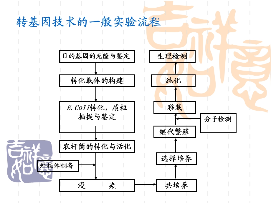 体的构建Constructionofv.ppt_第2页