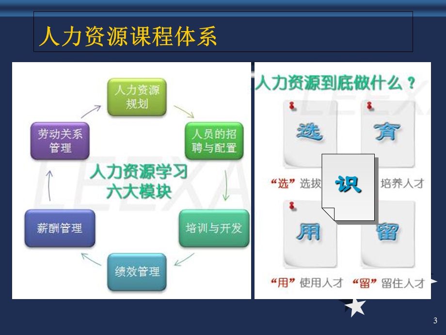 人力资源及人力资源.ppt_第3页