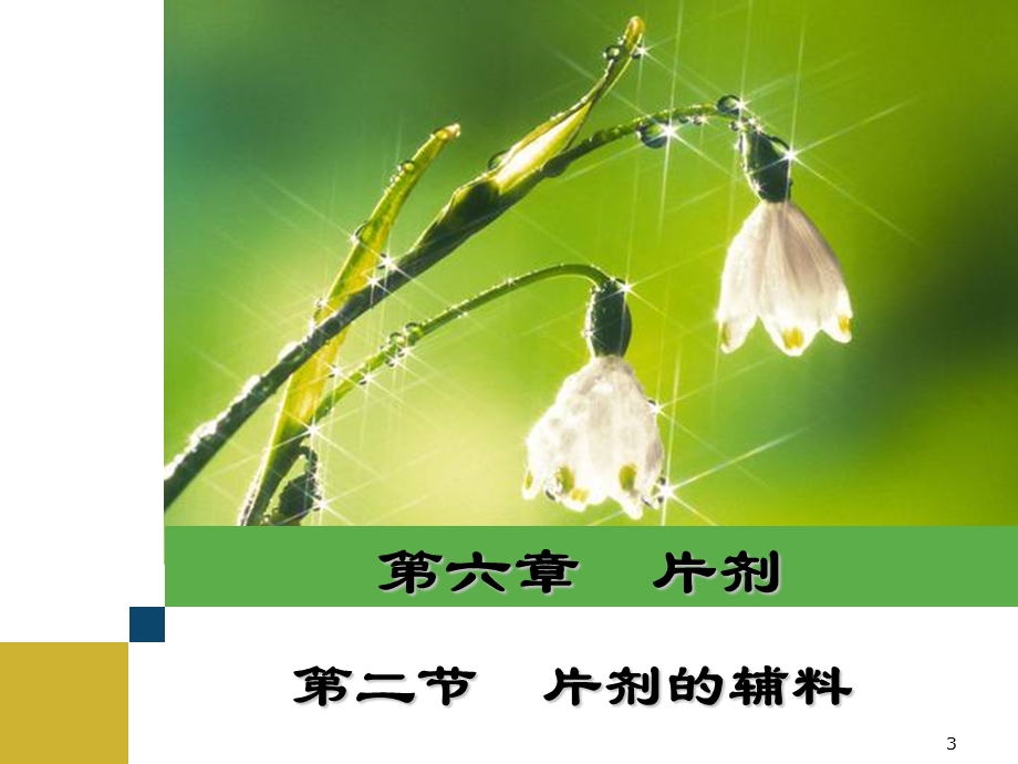 中职药剂专业-片剂.ppt_第3页