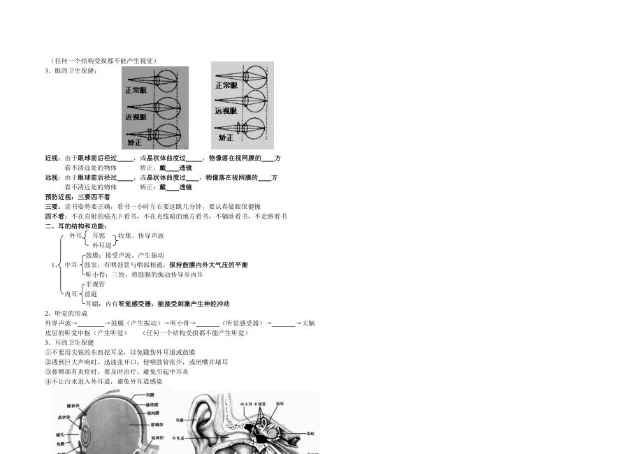 复习十三++人体生命活动的调节(1).doc_第2页