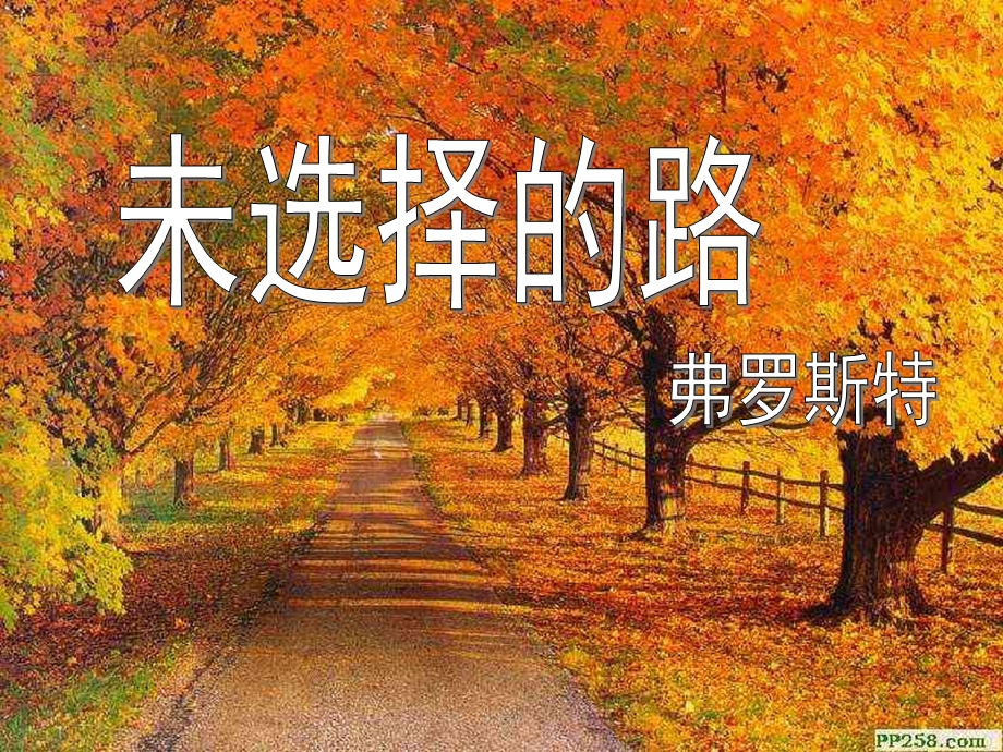 优秀课件未选择的路.ppt_第1页