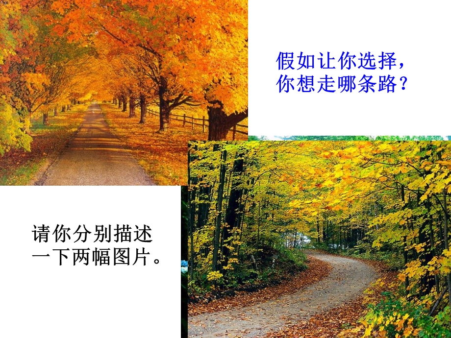 优秀课件未选择的路.ppt_第2页