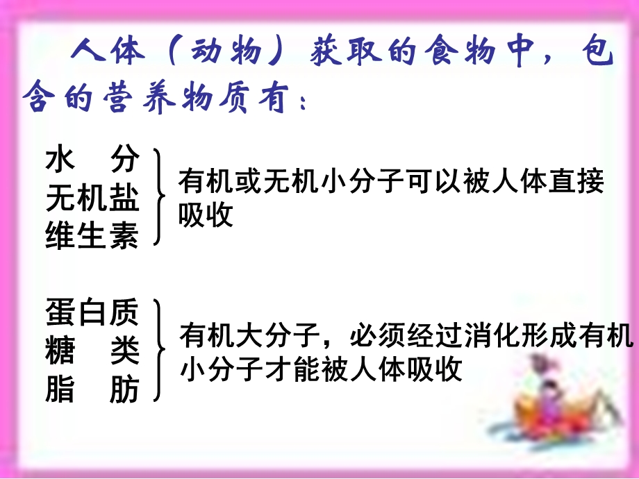 人和动物三大营养物质的代谢.ppt_第2页