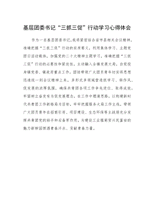 基层团委书记“三抓三促”行动学习心得体会.docx