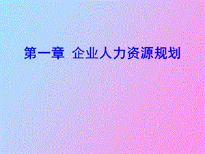 人力资源规划师.ppt