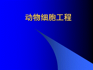 人教版教学课件人教版选修3动物细胞工程.ppt