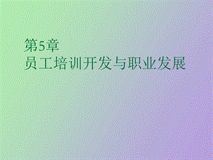 人力资源员工培训与开发.ppt