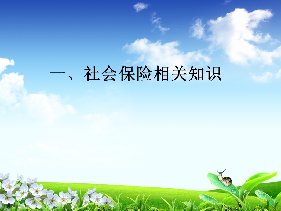 企业征缴业务章节解.ppt_第3页