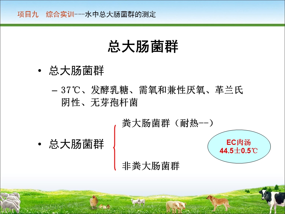 任务二水中大肠菌群数的测定.ppt_第3页