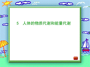 人体的物质代谢和能量代谢.ppt