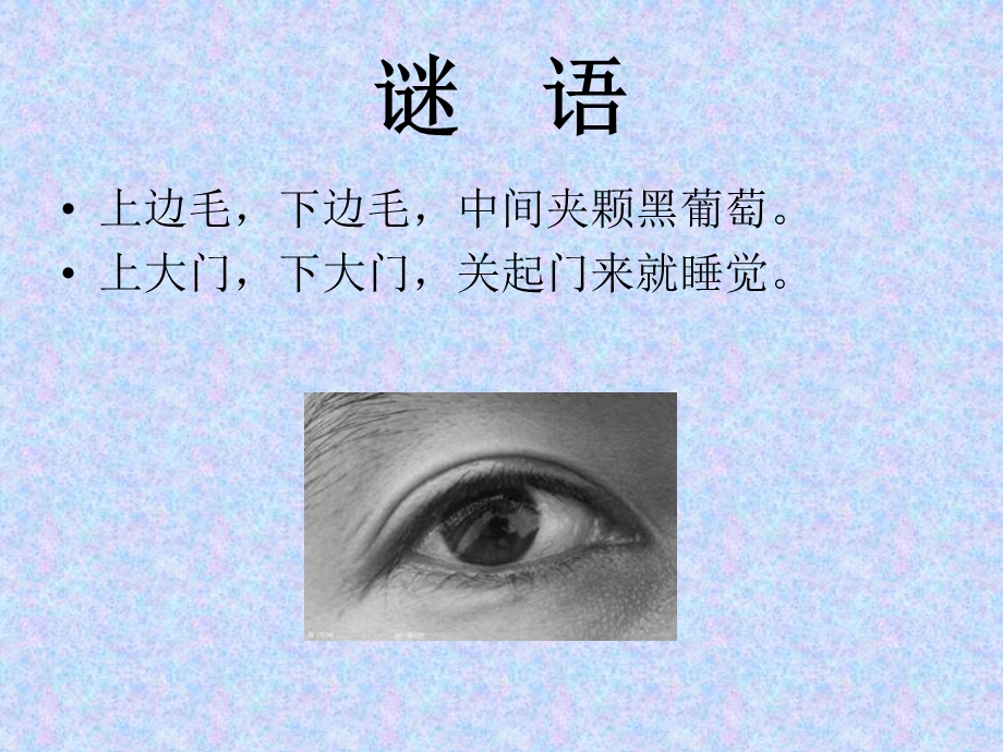 中班健康：保护眼睛.ppt_第2页