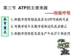 人教版教学课件ATP的主要来源-细胞呼吸.ppt