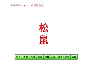 人教版五年级上册第10课《松鼠》课件.ppt