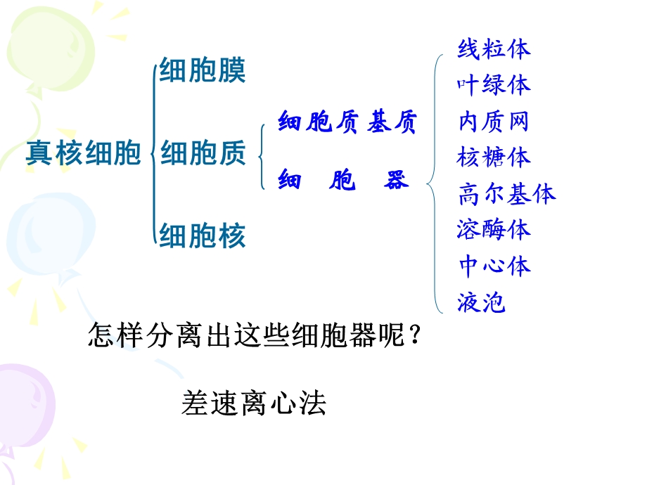 人教版教学课件细胞器-系统内的分工与合作.ppt_第3页