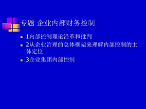 企业内部的财务控制.ppt