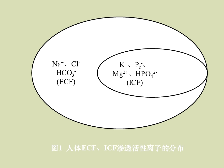 体液渗透失常的诊治.ppt_第3页