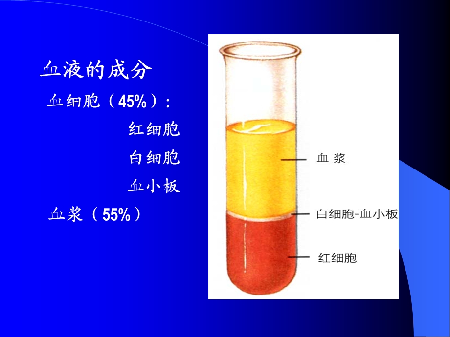 人教版教学课件第1章人体的内环境和稳态.ppt_第2页