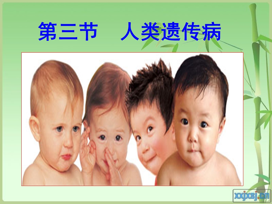 人类遗传病-ppt.ppt_第1页