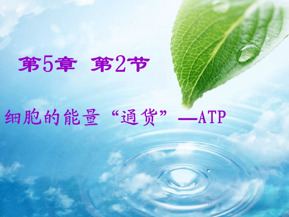 人教版教学课件细胞的能量通货ATP说课-海教杯说课.ppt_第1页