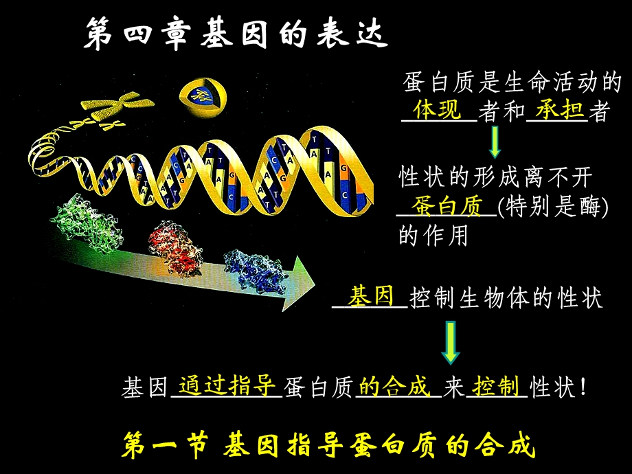 人教版教学课件基因表达转录和翻译的过程复习课件.ppt_第1页