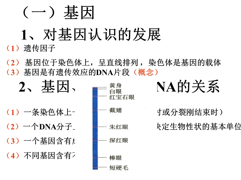 人教版教学课件基因表达转录和翻译的过程复习课件.ppt_第2页