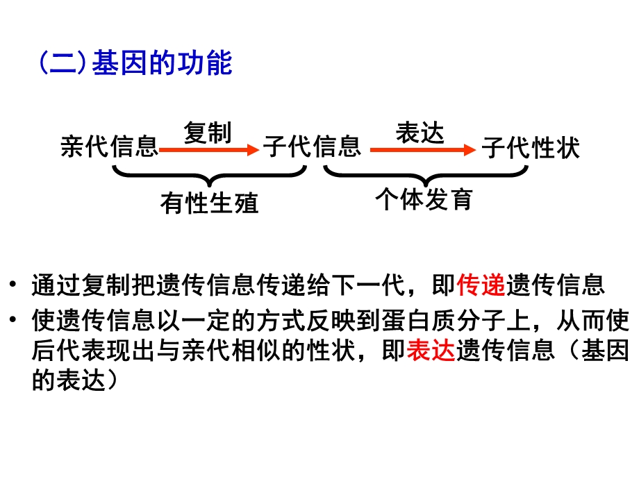 人教版教学课件基因表达转录和翻译的过程复习课件.ppt_第3页