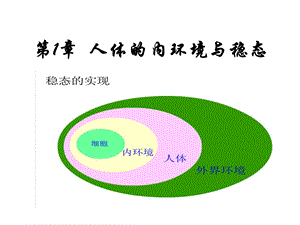 人教版教学课件第1节细胞生活的环境.ppt