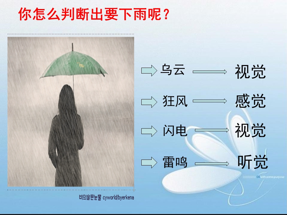 人体对外界环境的感知熊瑶.ppt_第2页