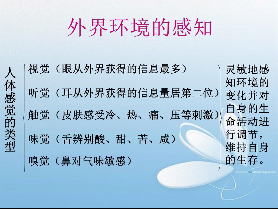 人体对外界环境的感知熊瑶.ppt_第3页