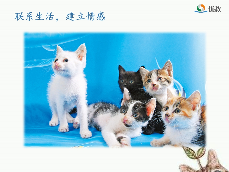 人教版四年级上册语文《猫》.ppt_第1页