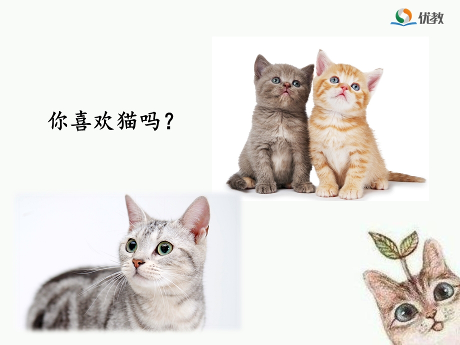 人教版四年级上册语文《猫》.ppt_第2页