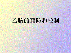 乙脑预防和控制.ppt