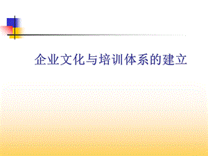 企业文化与企业培训体系的建立.ppt