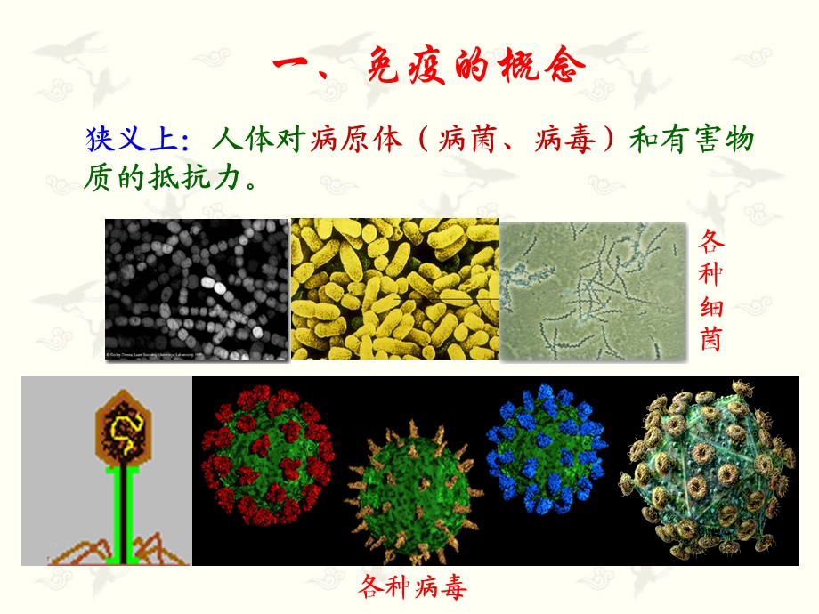 人教版教学课件免疫调节ppt.ppt_第2页