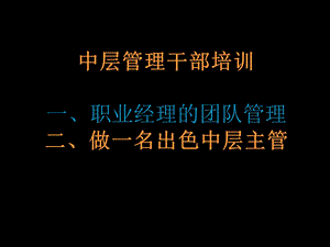 中层干部培训教材.ppt