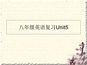 仁爱版英语八年级下册unit5短语复习.ppt