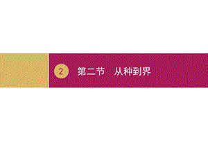 优秀教案-《从种到界》课件.ppt