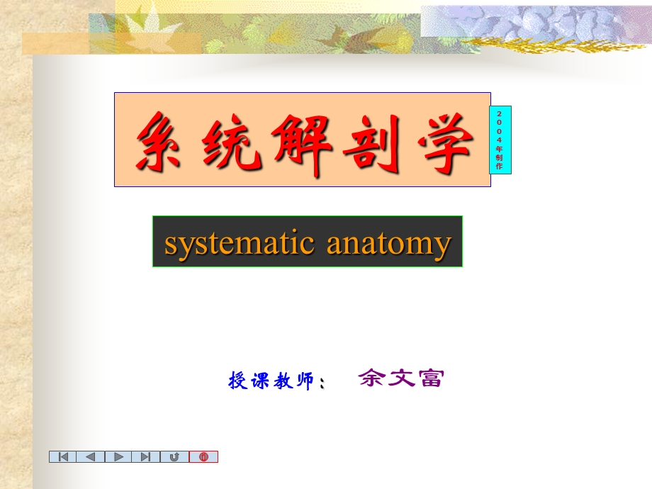 中枢神经系统nervoussystem.ppt_第1页