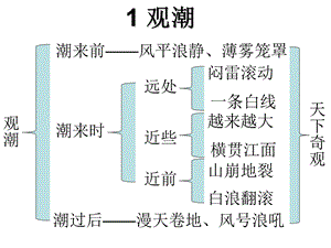 人教版四年级上《爬山虎的脚》板书设计.ppt