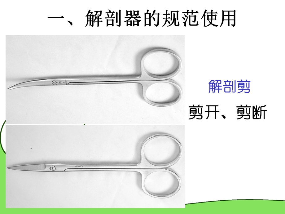 中学生物实验的常用工具.ppt_第2页